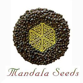 Mandala Seeds logo cannabisfrøbank