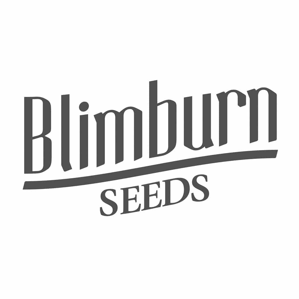 Blimburn Seeds cannabisfrø skunkfrø