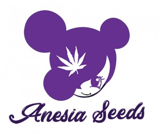 Anesia Seeds cannabisfrøbank logo skunkfrø