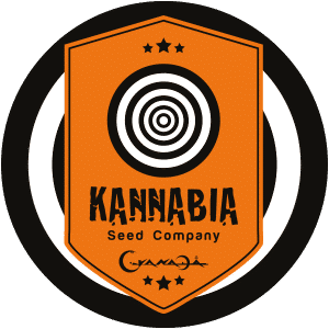 Kannabia Seed Company skunkfrø cannabisfrø