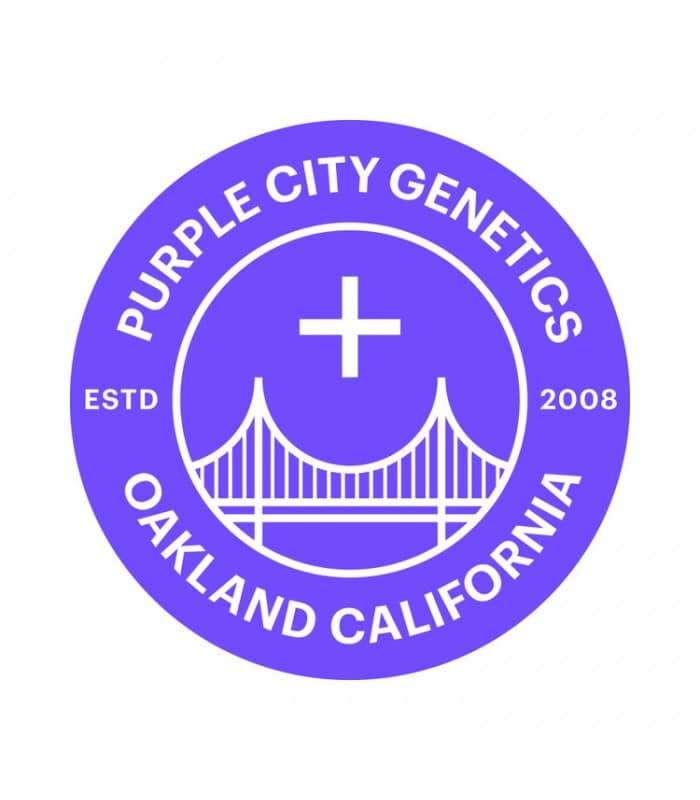 Purple City Genetics Cannabisfrøbank