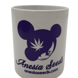 Kaffekrus fra Anesia Seeds