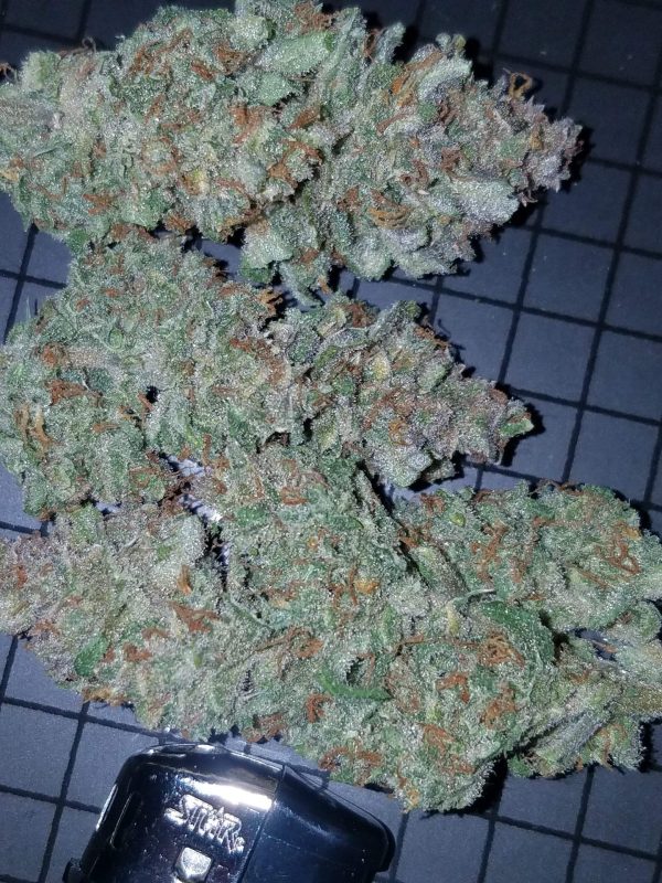 Auto Cannabisfrø Mexican Airlines Fast Buds