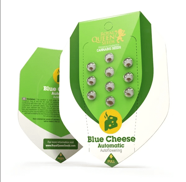 Blue Cheese Automatic Royal Queen Cannabisfrø Skunkfrø
