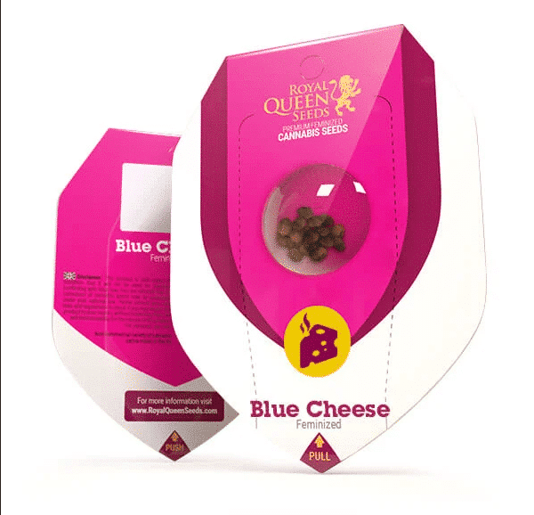 Blue Cheese Royal Queen Cannabisfrø Skunkfrø