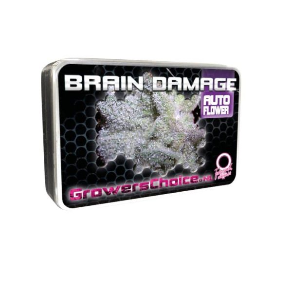 Brain Damage Auto Growers Choice cannabisfrø 2