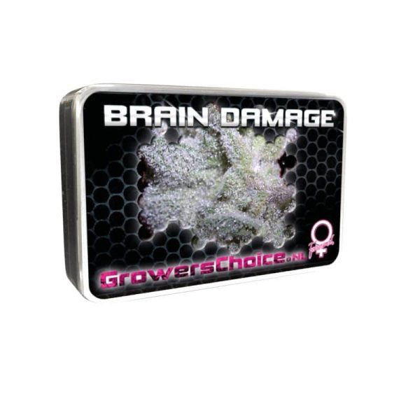 Brain Damage Growers Choice cannabisfrø