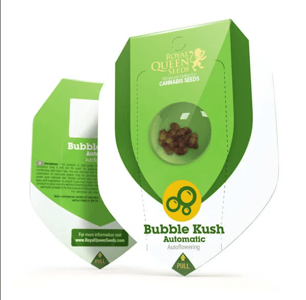 Bubble Kush Automatic Royal Queen Cannabisfrø Skunkfrø