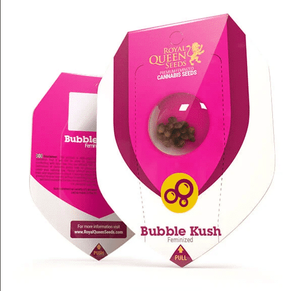 Bubble Kush Royal Queen Cannabisfrø Skunkfrø