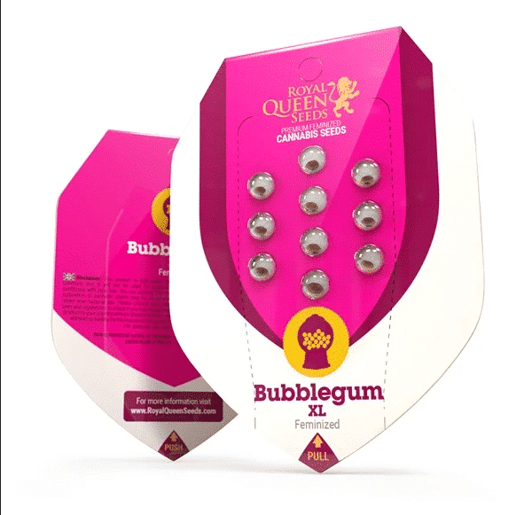 Bubblegum XL Royal Queen Cannabisfrø Skunkfrø