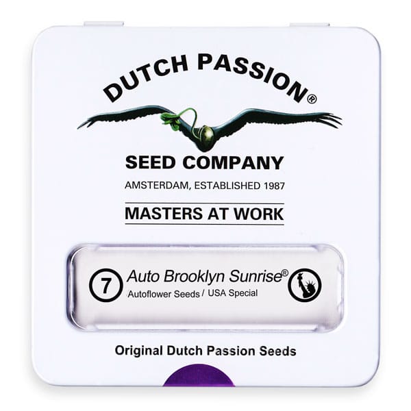 Cannabisfrø Auto Brooklyn Sunrise Dutch Passion