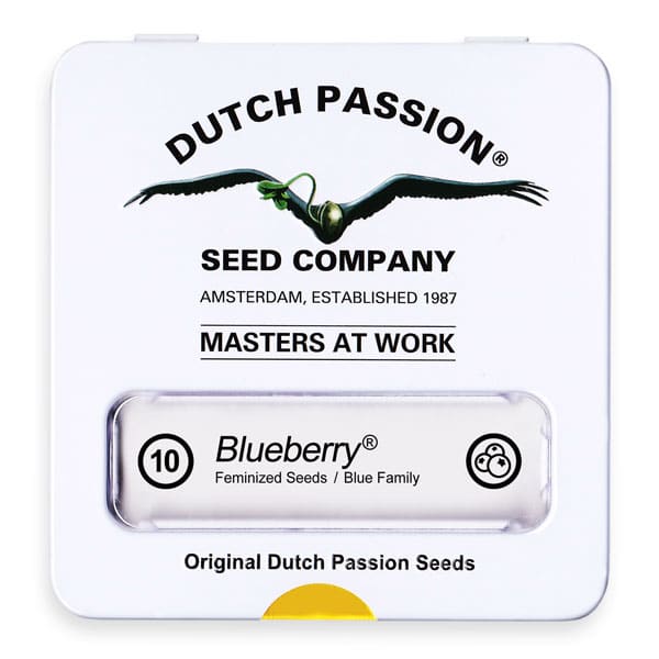 Cannabisfrø Blueberry Dutch Passion