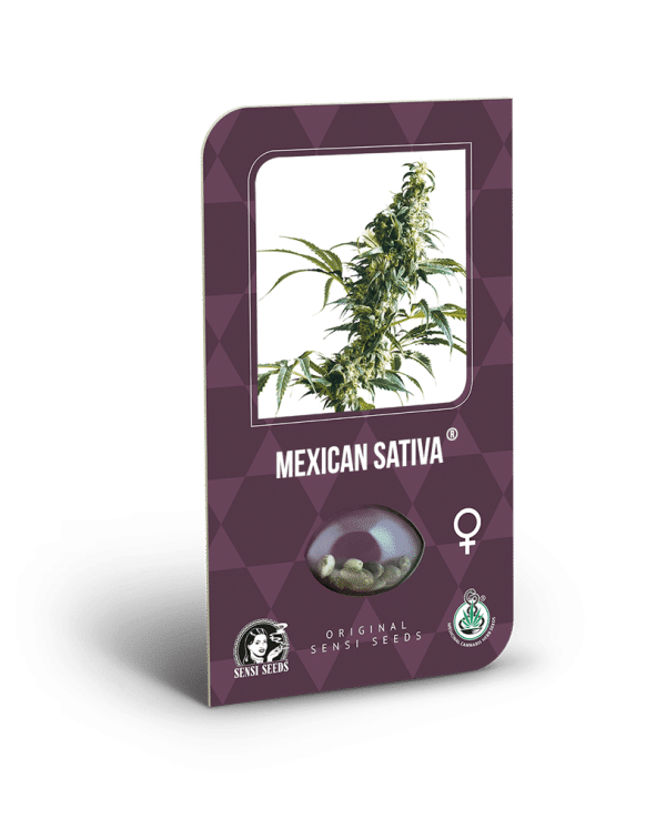 Cannabisfrø Sensi Mexican Sativa