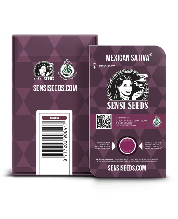 Cannabisfrø Sensi Mexican Sativa