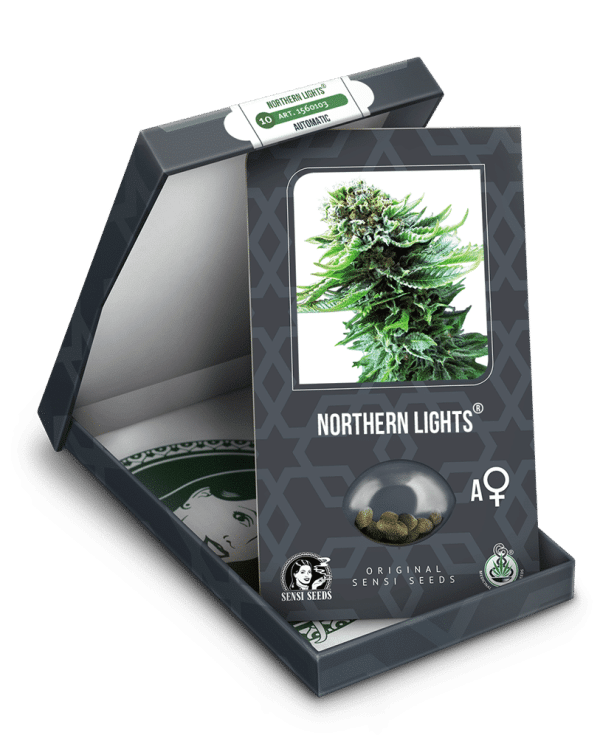 Cannabisfrø Sensi Northern Lights Automatic