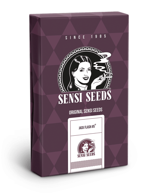 Cannabisfrø Sensi Seeds Jack Flash 5 Feminiserede