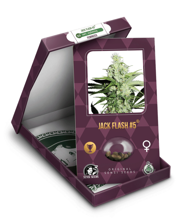 Cannabisfrø Sensi Seeds Jack Flash 5 Feminiserede