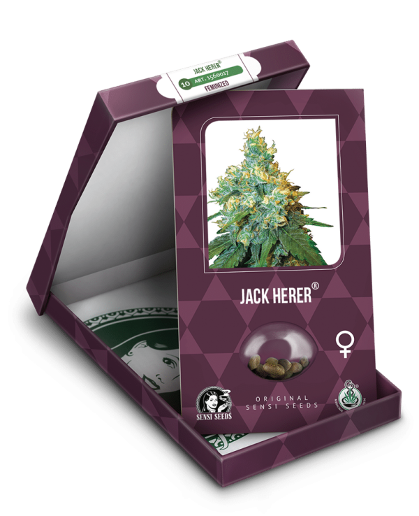 Cannabisfrø Sensi Seeds Jack Herer Feminiserede