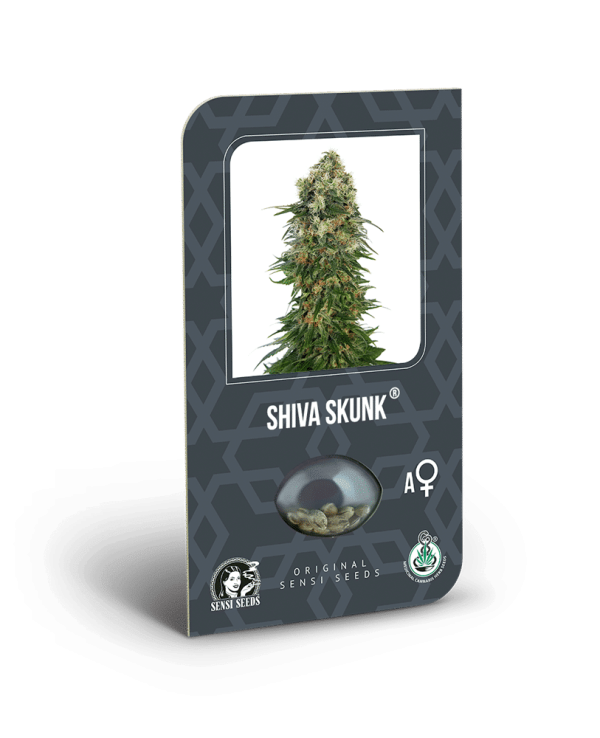Cannabisfrø Sensi Seeds Shiva Skunk Automatic