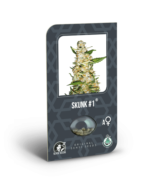 Cannabisfrø Sensi Seeds Skunk #1 Automatic