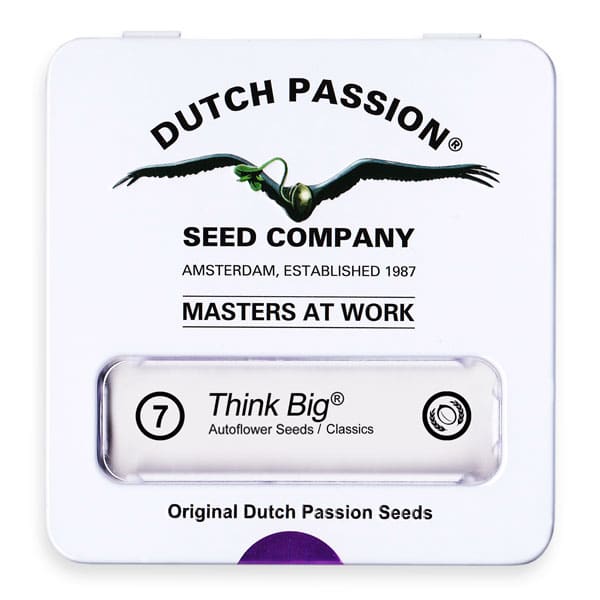 Cannabisfrø Think Big Dutch Passion