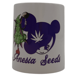 Kaffekrus fra Anesia Seeds