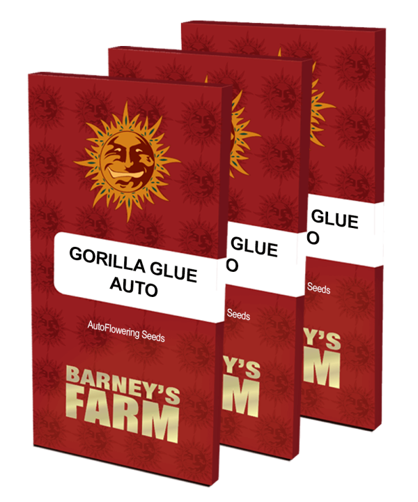 Gorilla Glue Auto Barney's Farm cannabisfrø skunkfrø