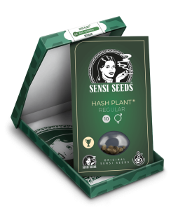 Hashplante-HashPlant-Hash-Plant-Sensi-Seeds-indpakning