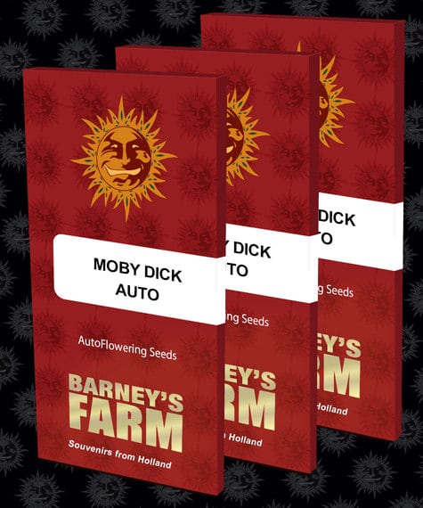 Moby Dick Auto Barneys Farm cannabis seeds