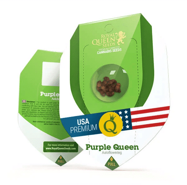 Purple Queen Automatic Royal Queen cannabisfrø skunkfrø