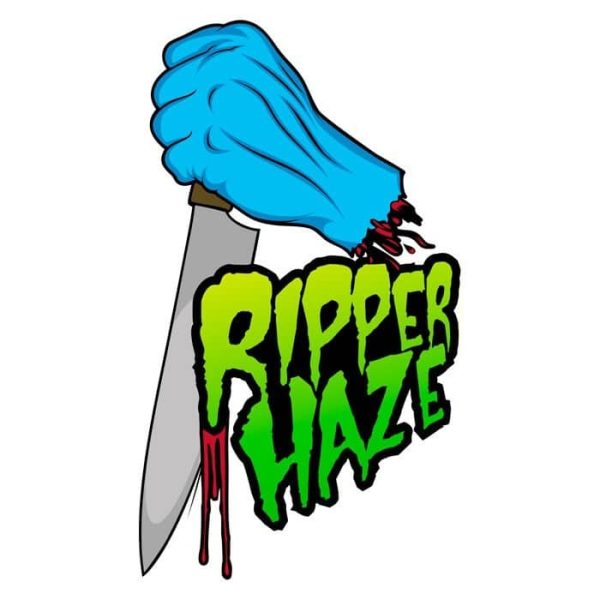 Ripper Haze Ripper Seeds cannabisfrø