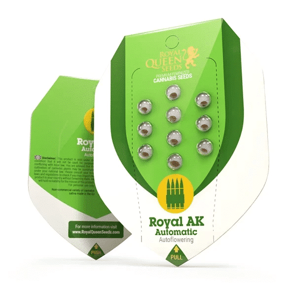 Royal AK Automatic Royal Queen cannabisfrø skunkfrø