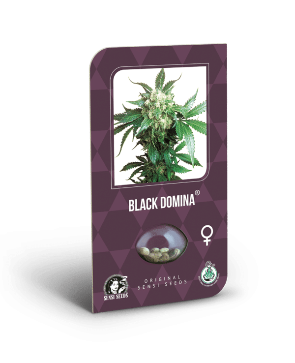 Sensi Seeds Cannabisfrø Black Domina Feminiserede