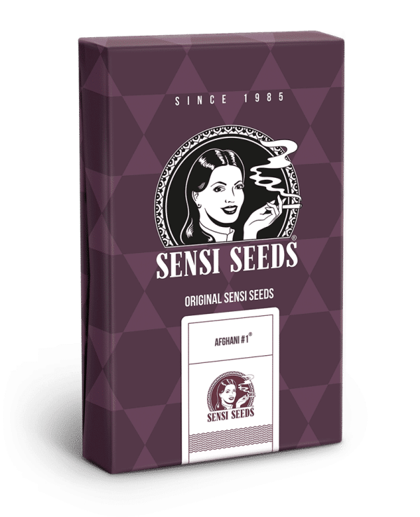 Sensi Seeds Cannabisfrø Afghan #1 feminiserede