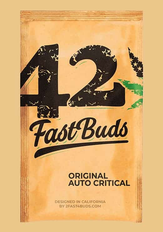 Skunkfrø Fast Buds Original Auto Critical