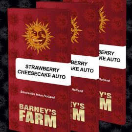 Strawberry Cheesecake Auto Barneys Farm cannabis seeds