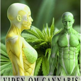 Medicin Planten - Viden om Cannabis - Forskning, historien, myten - alt om plantens virkning