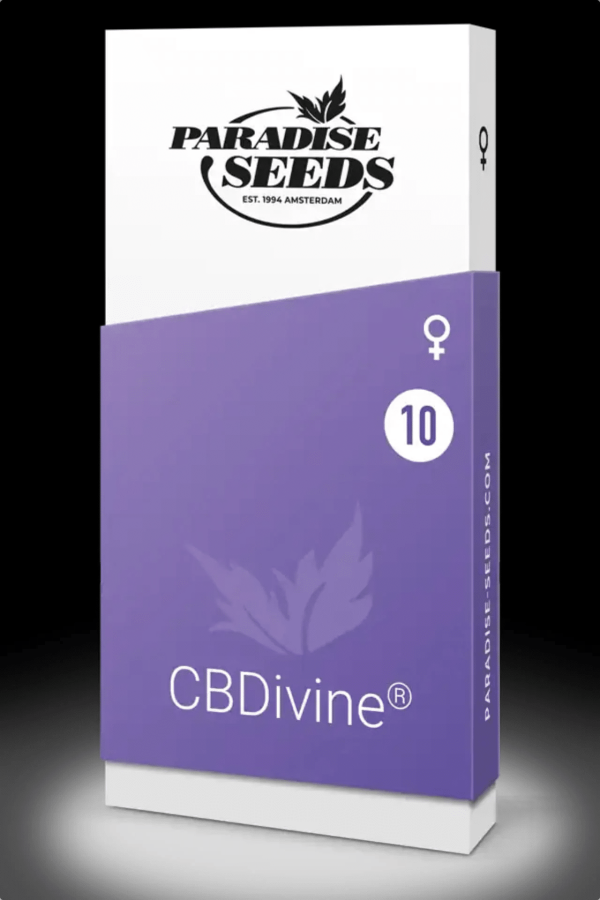 CBDivine Pasradise Seeds