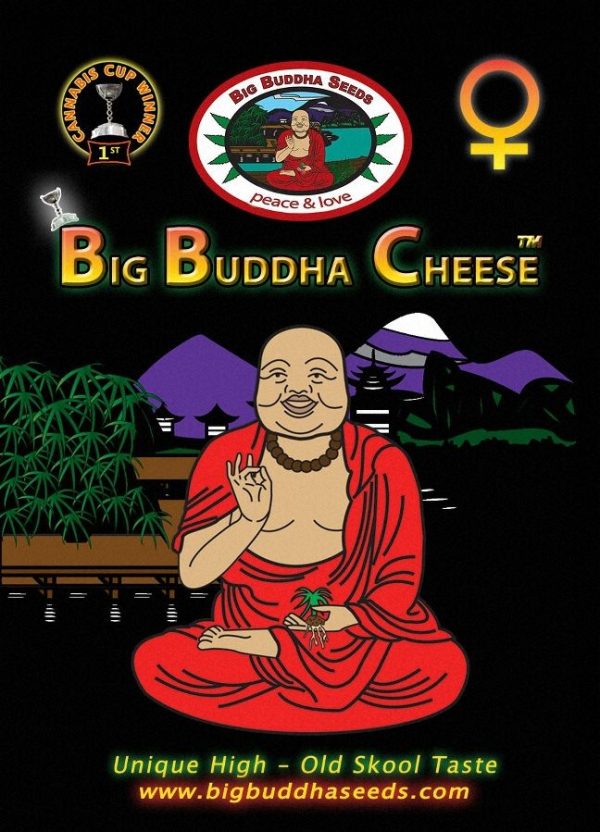 Big Buddha Cheese Big Buddha Seeds cannabisfrø