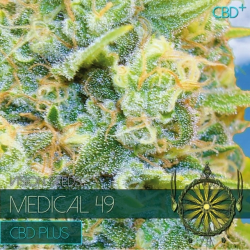 Medical 49 CBD+ Vision Seeds cannabisfrø