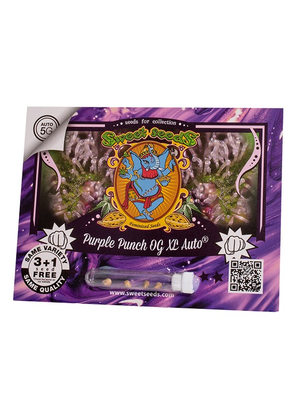 Purple Punch OG XL Auto Sweet Seeds cannabisfrø