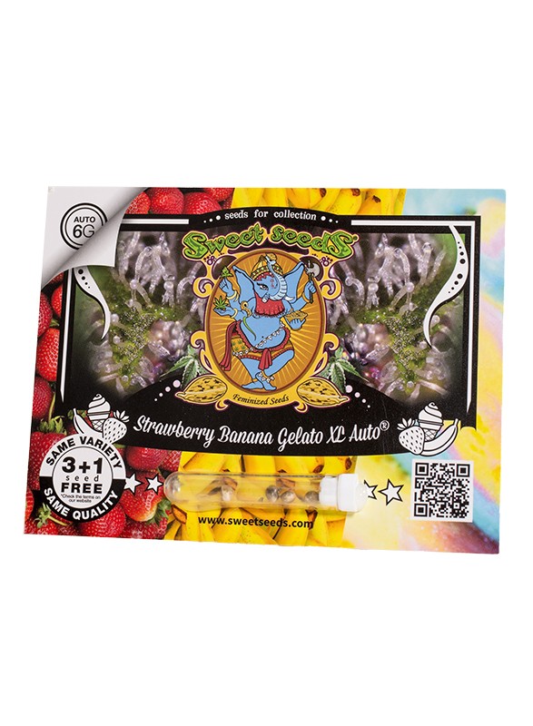 Strawberry Banana Gelato XL Auto Sweet Seeds cannabisfrø