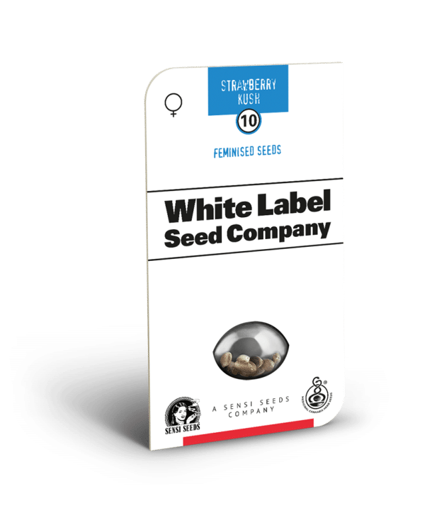 Strawberry Kush Feminized Seeds White Label cannabisfrø