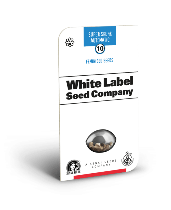 Super Skunk Automatic White Label cannabisfrø