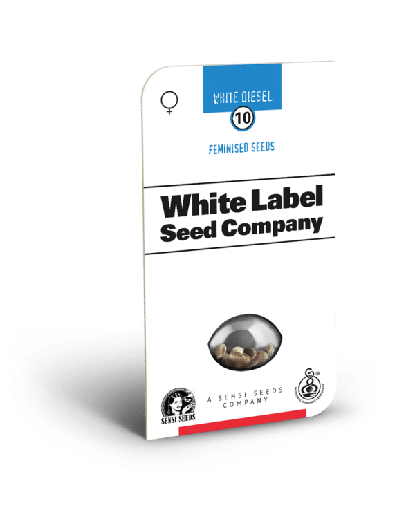 White Diesel Feminized Seeds White Label cannabisfrø
