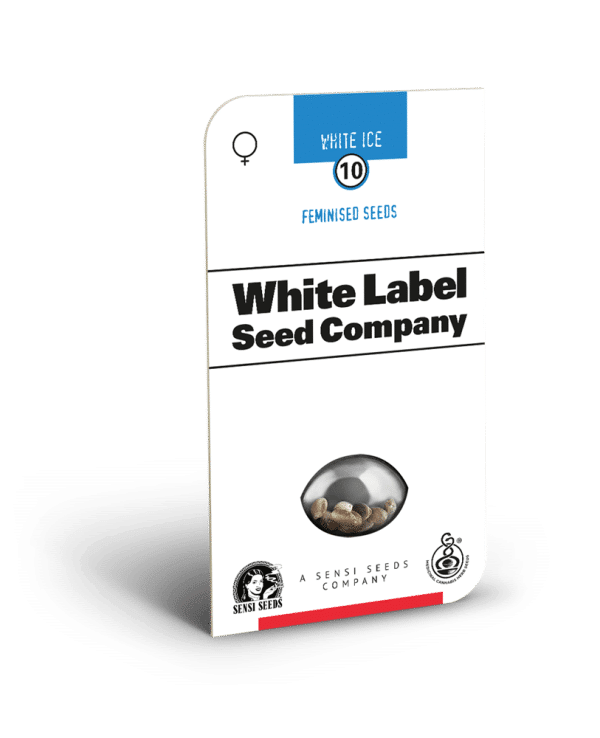 White Ice Feminized Seeds White Label cannabisfrø