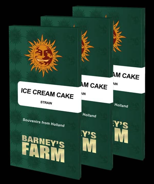 Ice Cream Cake Barney's Farm cannabisfrø