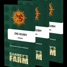 OG Kush Barney's Farm cannabisfrø