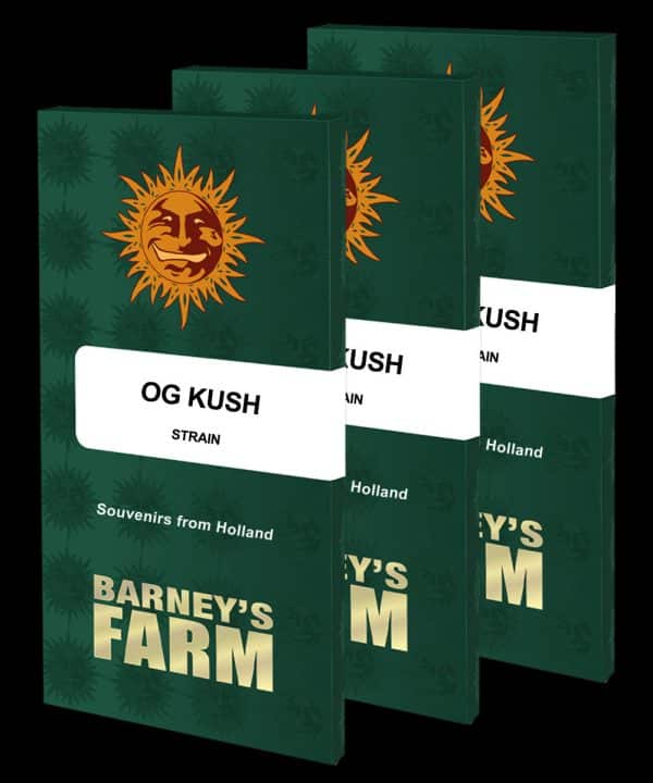 OG Kush Barney's Farm cannabisfrø