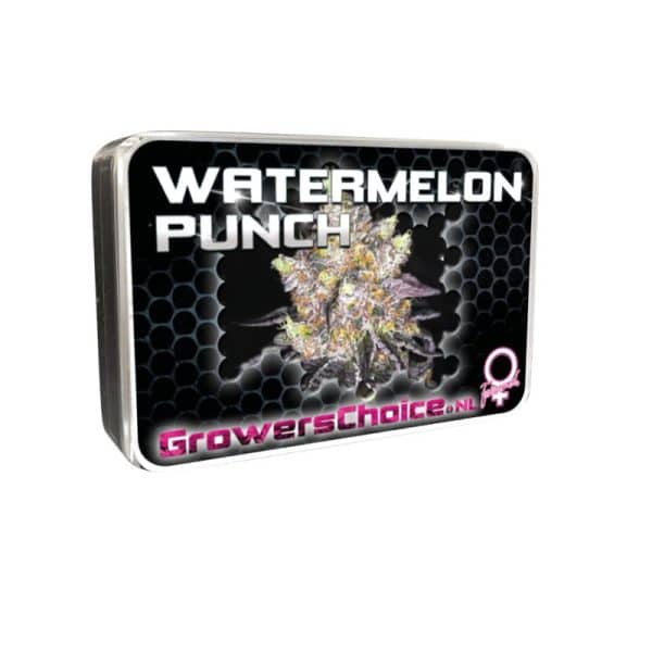 Watermelon Punch Growers Choice skunkfrø